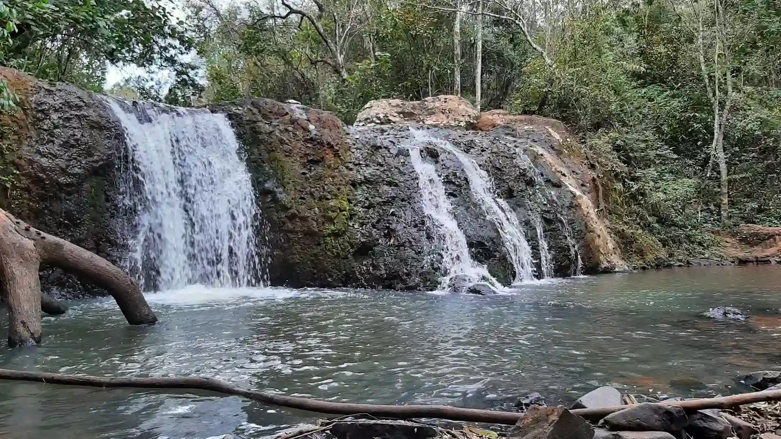 Selva misionera Saltos Mbocay