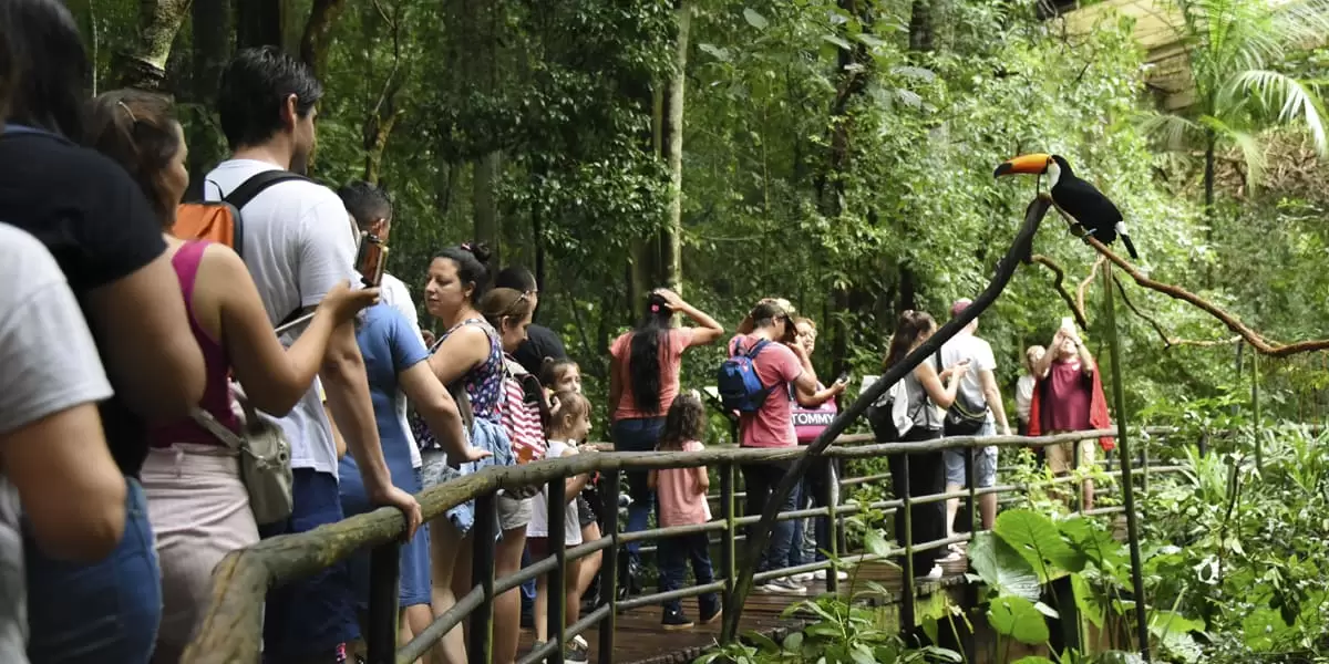 pasarela de turistas en el Parque das Aves Brasil
